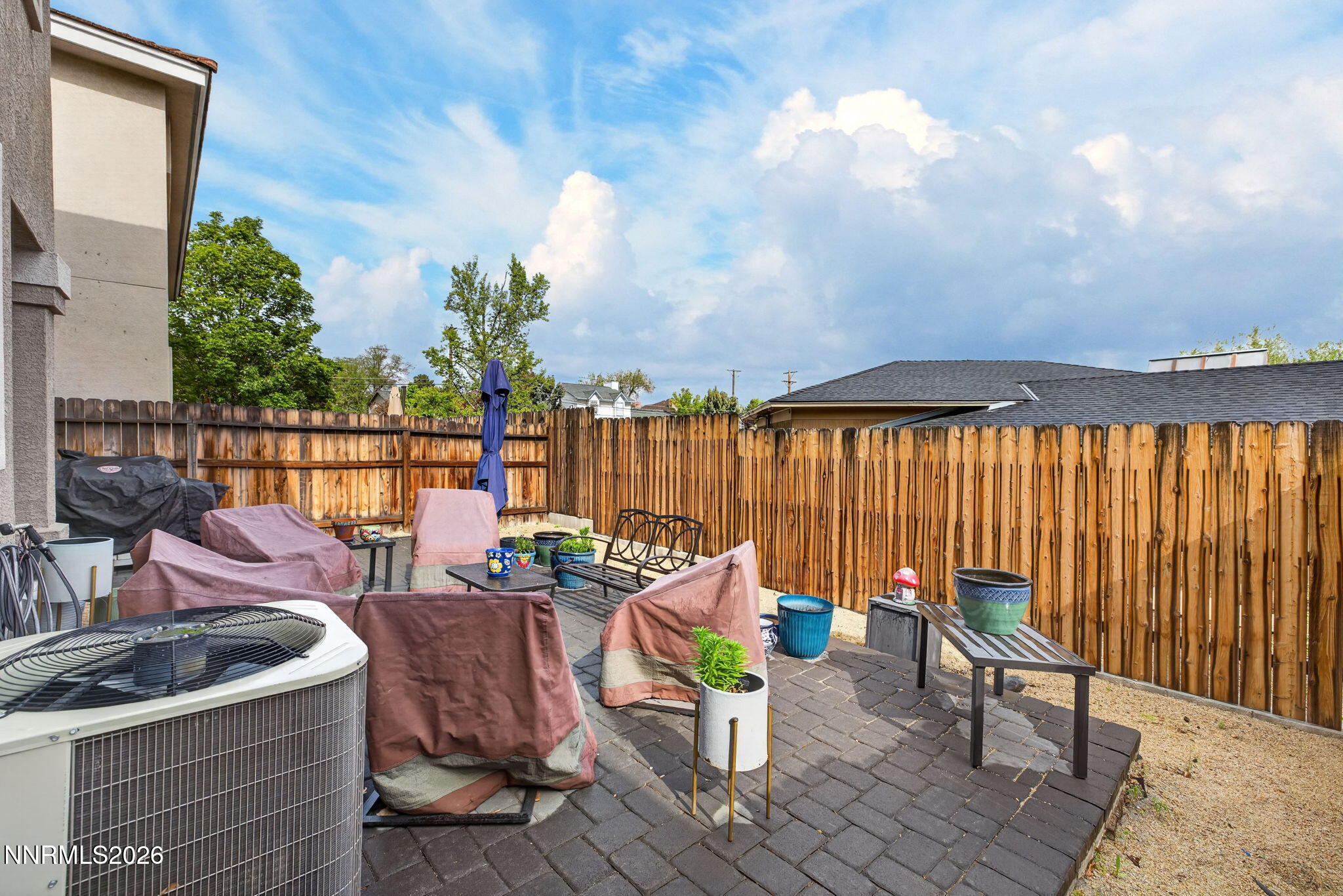 37-web-or-mls-775 Sarcinella-75