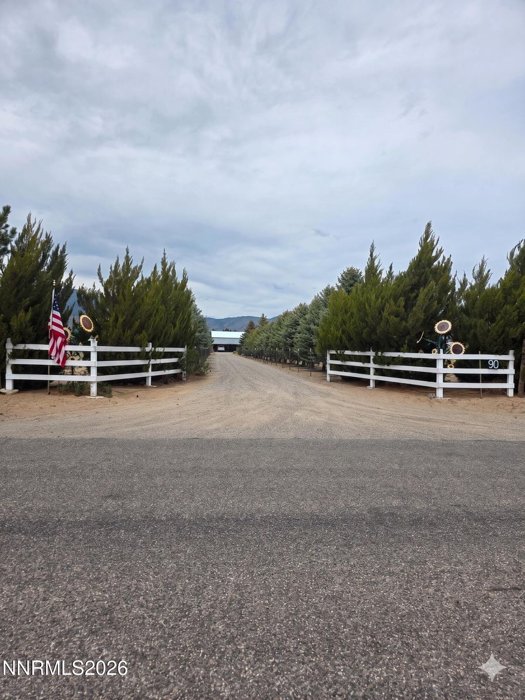 Photo of 90 Artist View Road, Wellington, NV 89444 (MLS # 260005950)