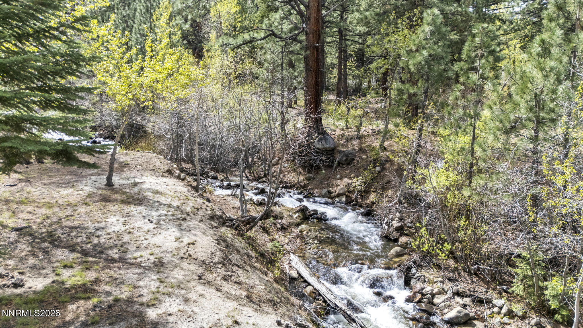 1300 Douglas Fir Drive