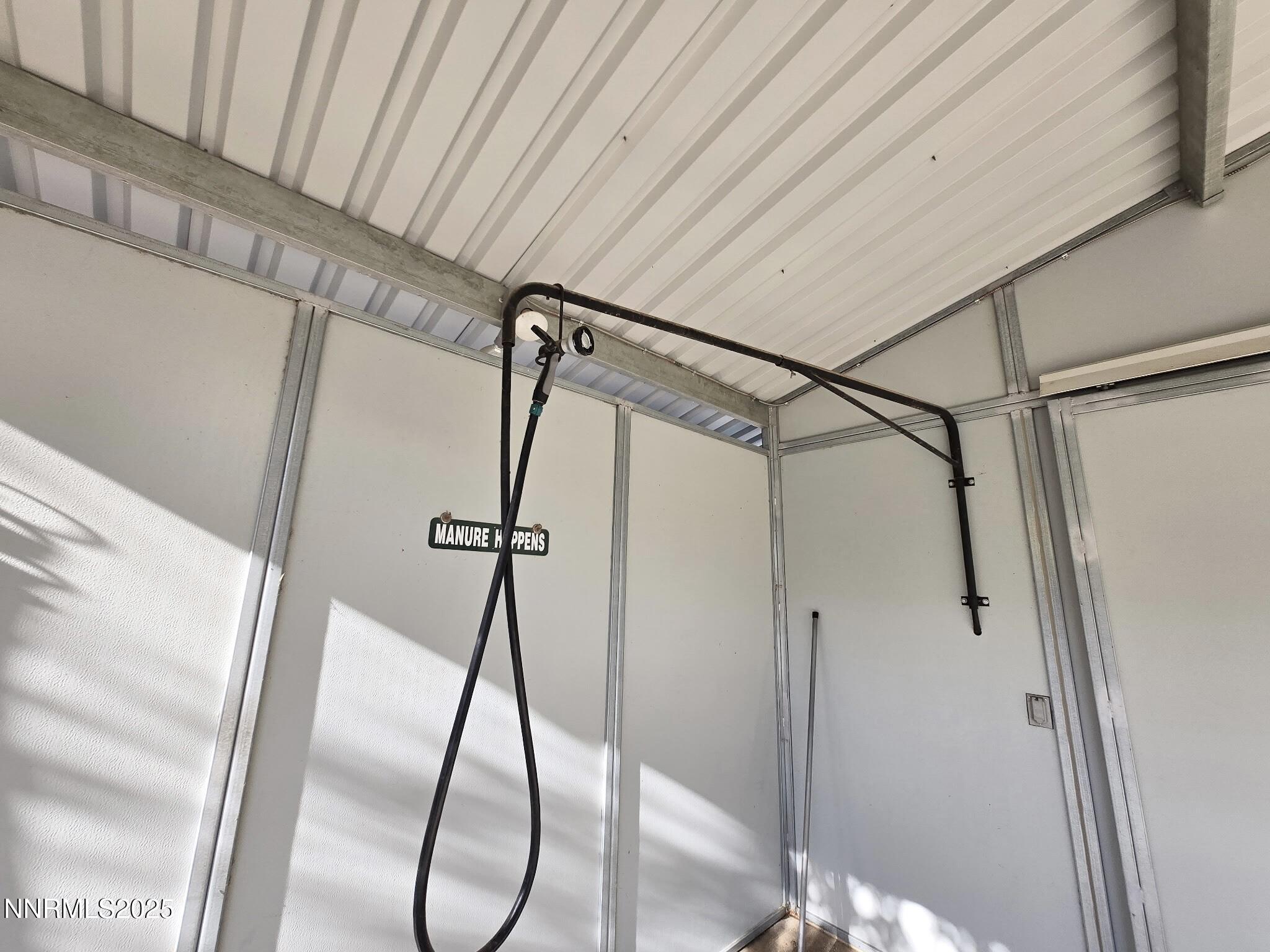 5173141447915122986 (1)