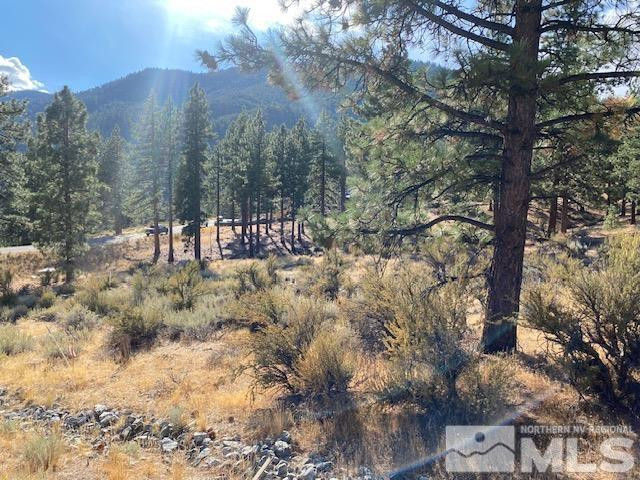 196 Scenic Range Court