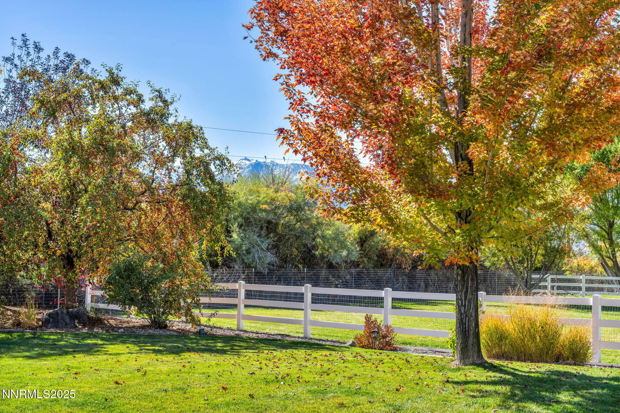 46-web-or-mls-1058-frieda-ln