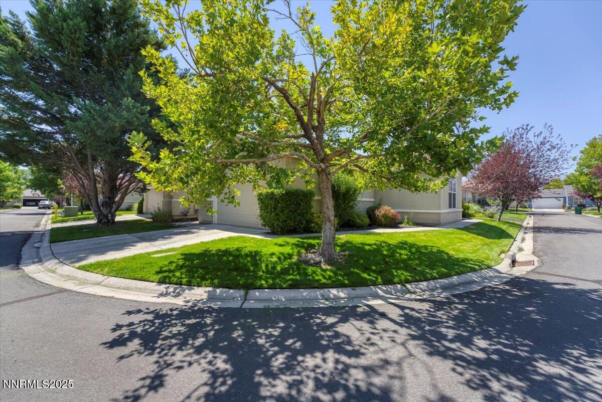 03-1612 Mountain Ln Reno NV 89521 (3 of