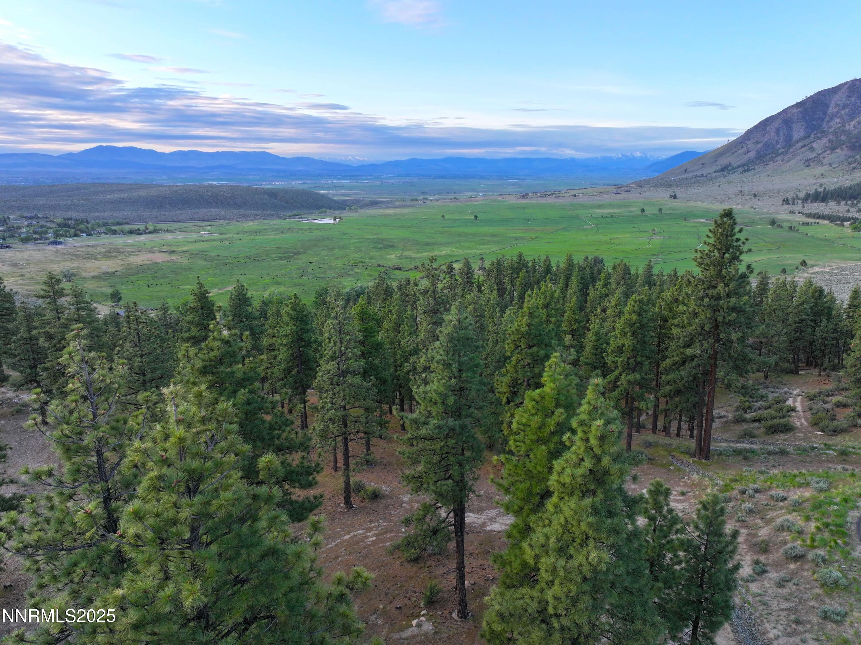 DJI_20250515100413_0006_D-min