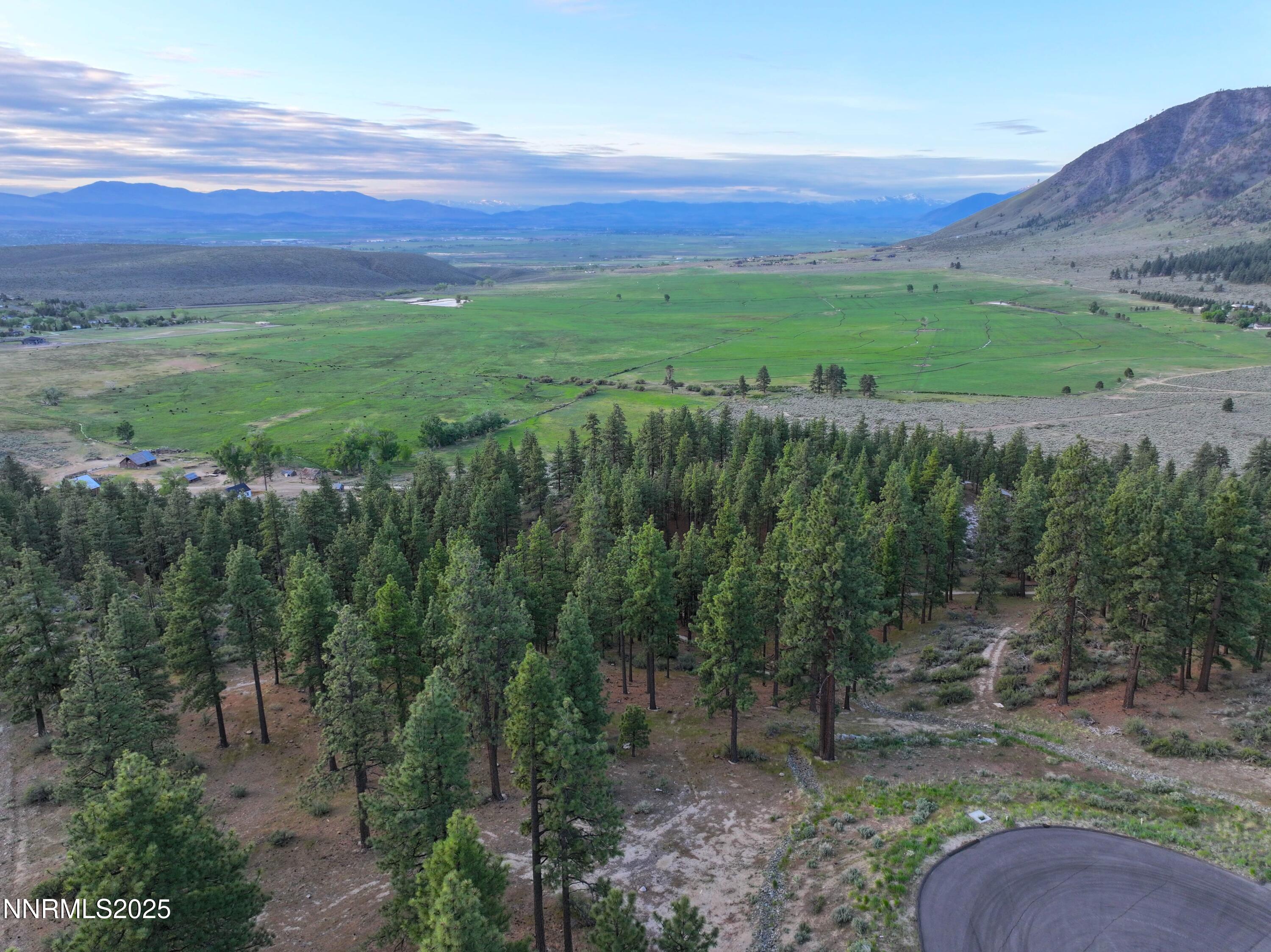 DJI_20250515100550_0012_D-min