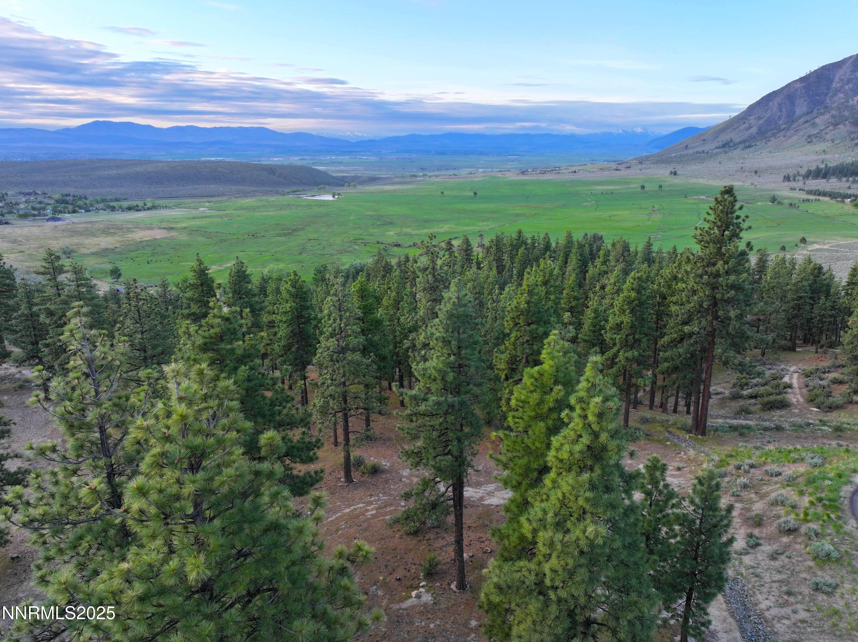 DJI_20250515100409_0005_D-min