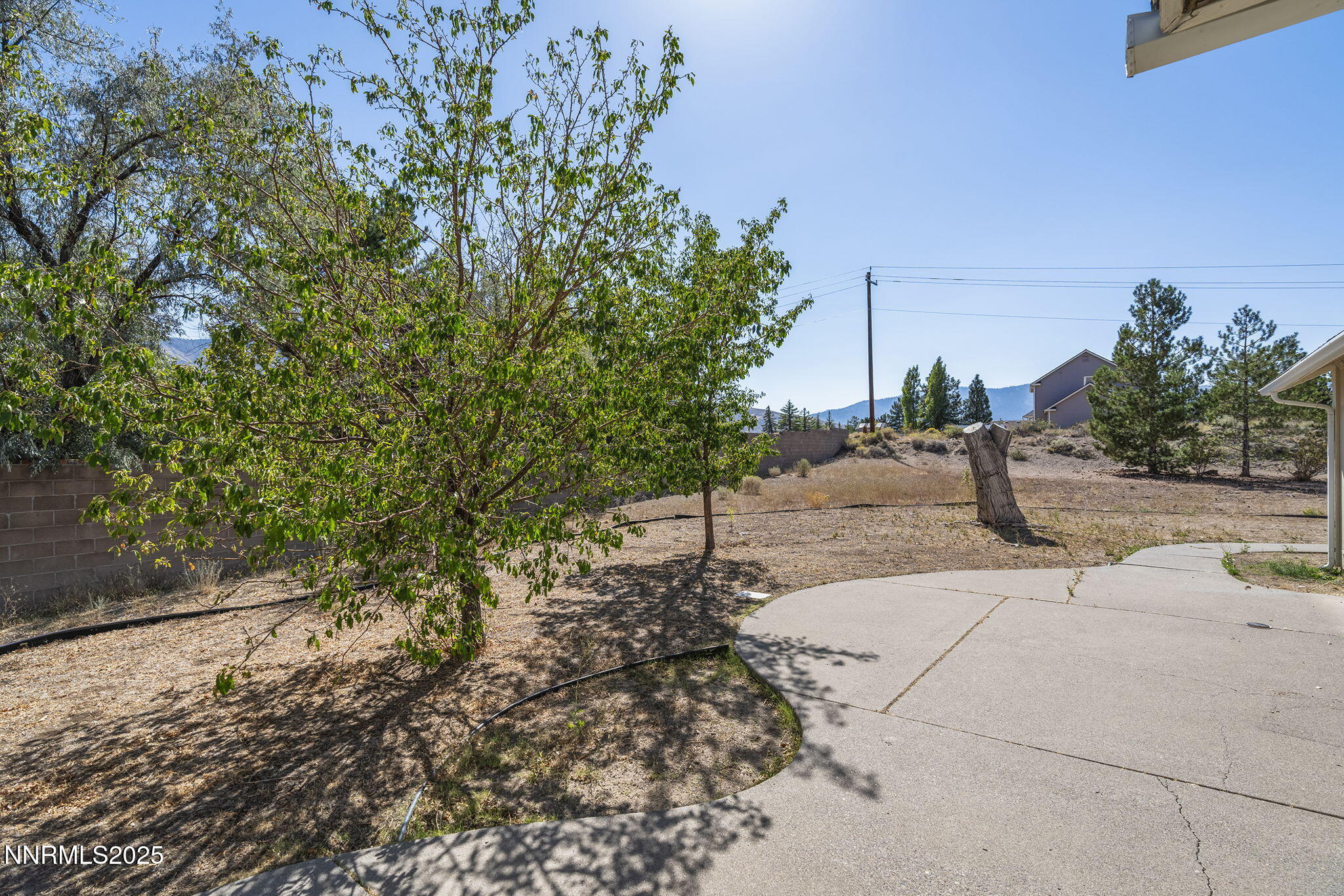 29-web-or-mls-_DSC9002