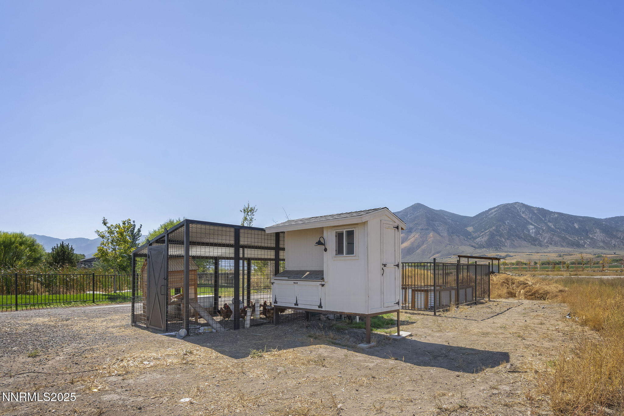 50-web-or-mls-_DSC0548