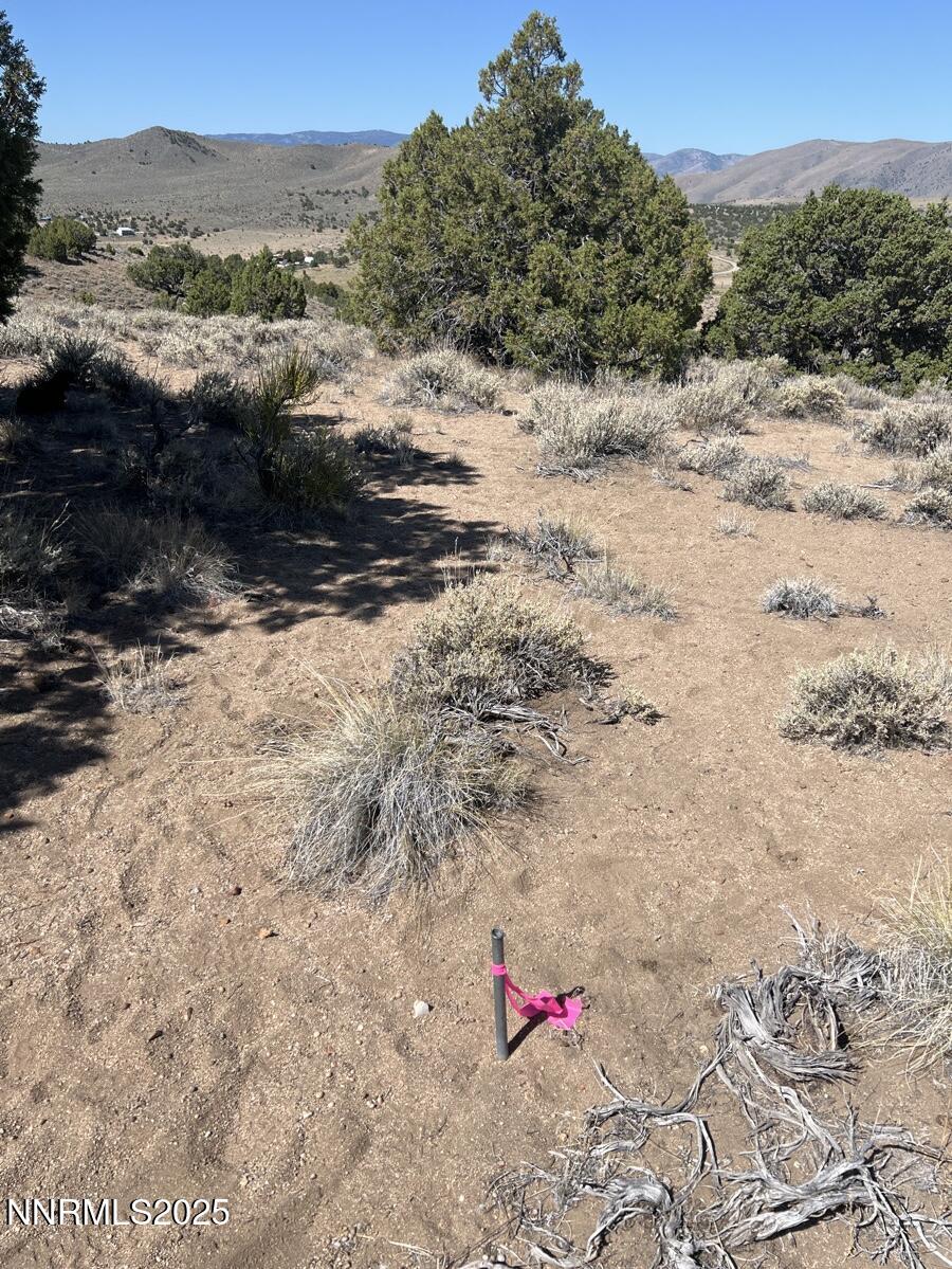 image_cropper_E447F0F6-A958-400E-A2A3-7A