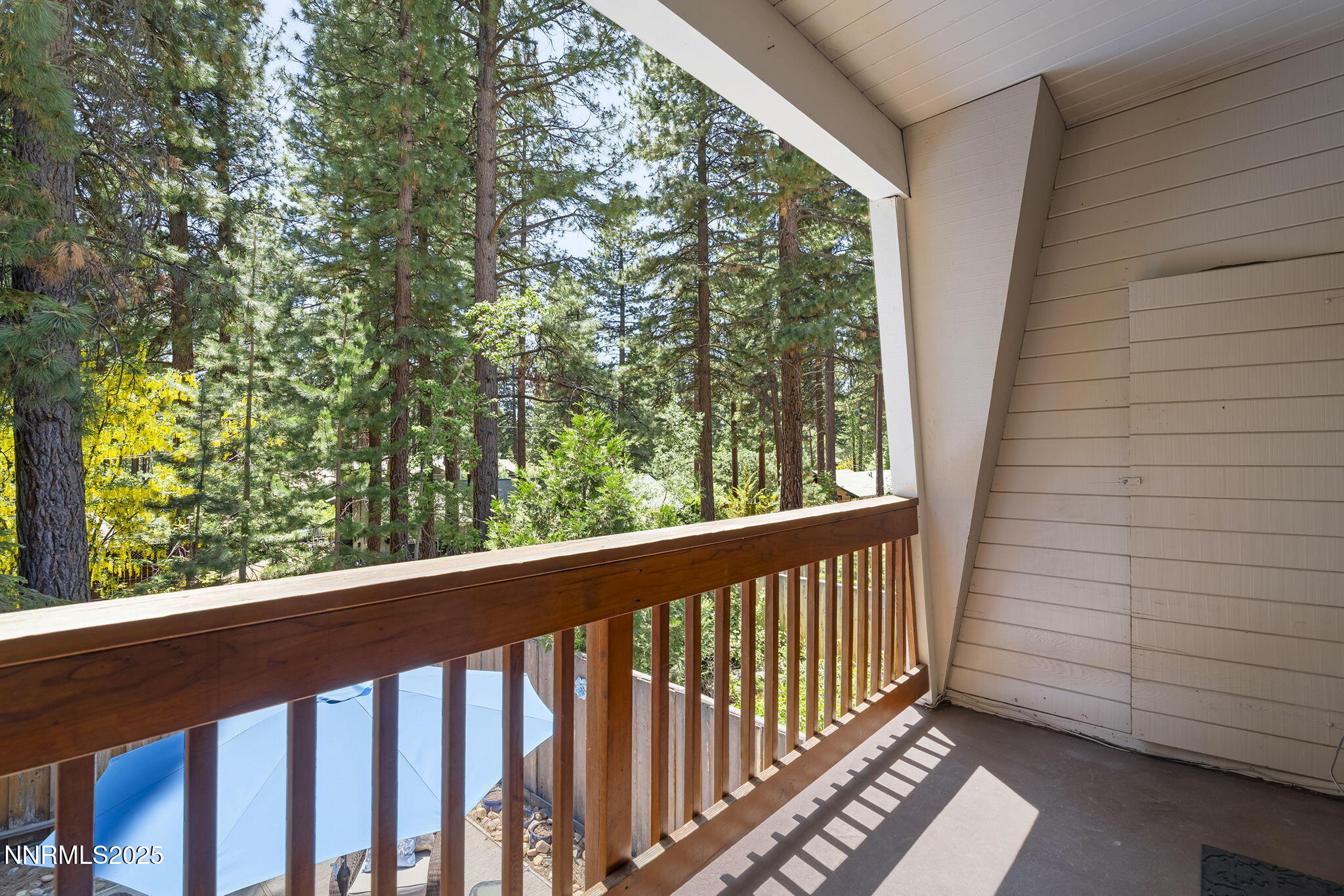 22-web-or-mls-_DSC8499