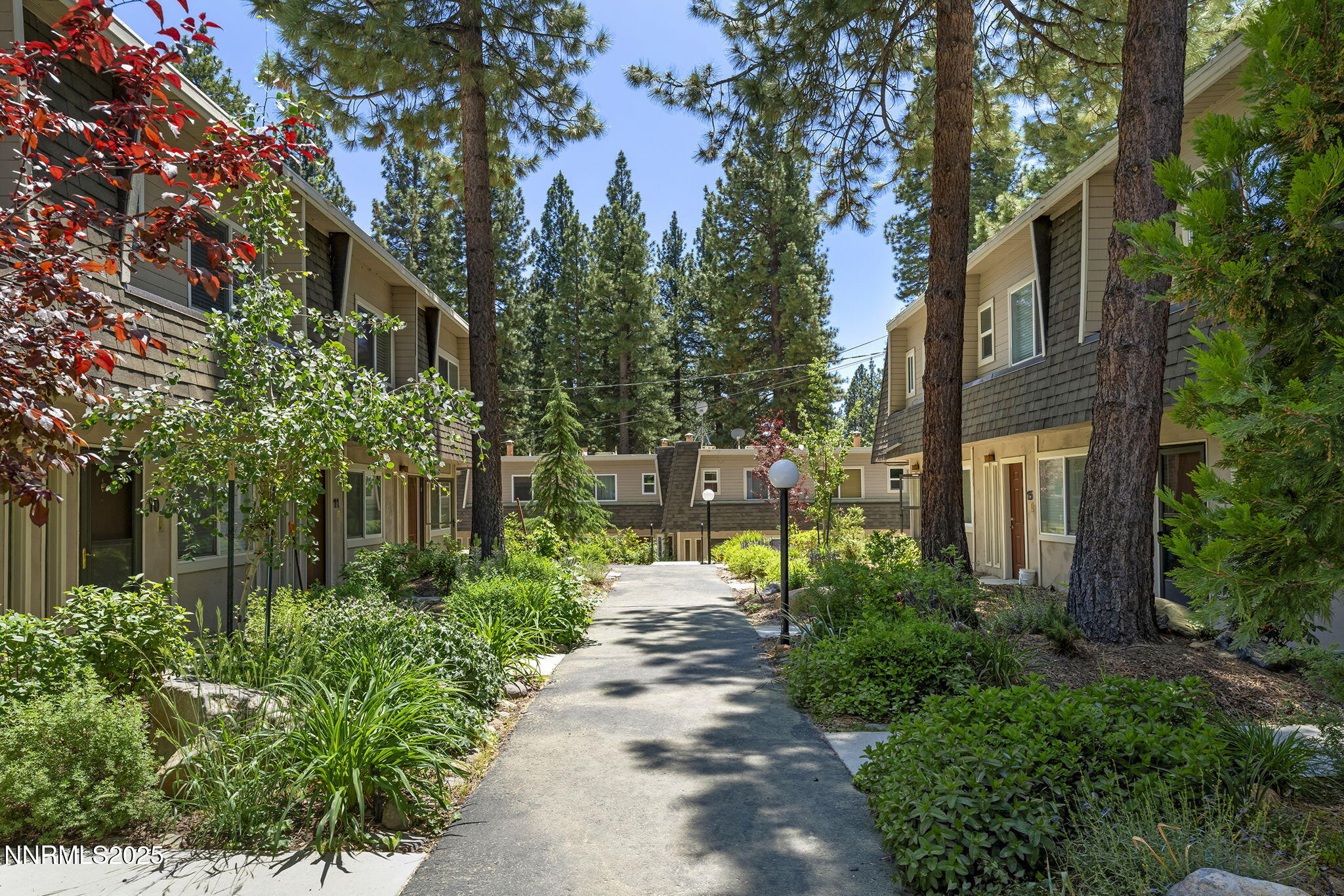 2-web-or-mls-_DSC8517