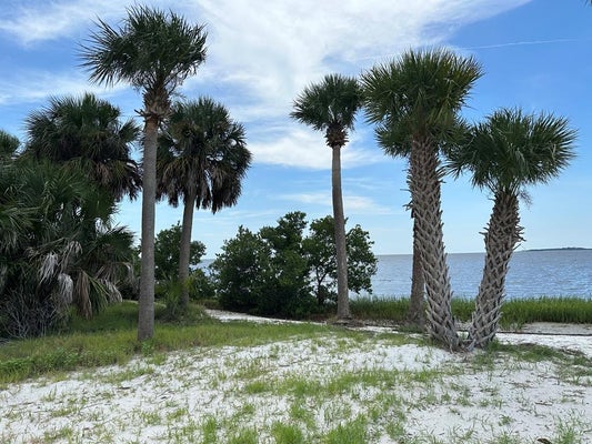 SW AIRPORT RD, CEDAR KEY, FL 32625 - Image 392b6c2e9444bbd73c4e85381757e55f/3625800856