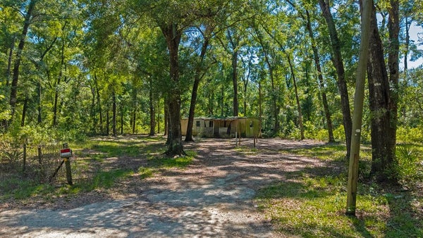 4509 NW 63RD TER, BELL, FL 32619 - Image 41b3a7b8a764e4f0e6a4c48871cb3ccc/888087358