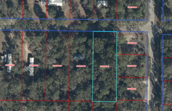 NE 168TH AVE, OLD TOWN, FL 32680 - Image 426b70ece15eeec1fca7b68df2c39403/1349930494