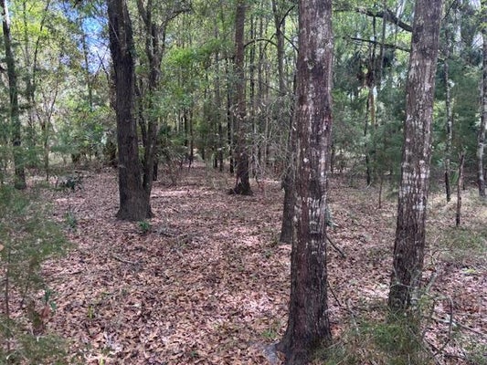 NW 73RD ST, CHIEFLAND, FL 32626 - Image 42b44cdc769fa5c3a067bc8050d9edba/3065539759