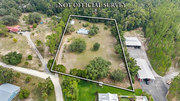 232 SW 735TH ST, STEINHATCHEE, FL 32359 - Image 65f669e81fa93c9a9a96e9fde63d8b4e/1962861665