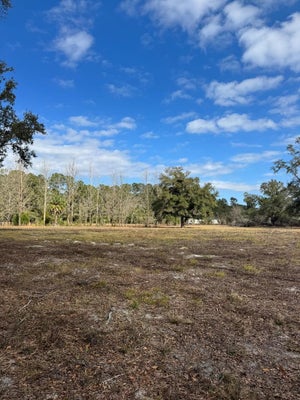 ADDRESS PRIVATE, OLD TOWN, FL 32680 - Image 692ebae4aae045f69ffc8d7a3e002f08/1734657940