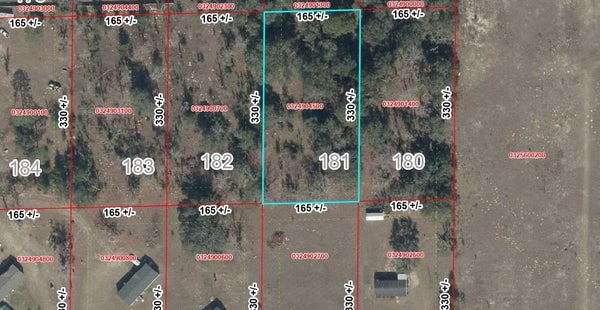 NE 101ST ST, ARCHER, FL 32618 - Image a2c5c42e27cc98be7962de41f43cecf0/2394095244