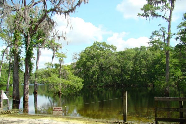 22 NW 127TH ST, NEWBERRY, FL 32669 - Image a36e8a590623d0184fb3e680c28bbe3c/3470631803