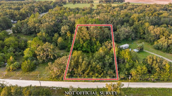 831 NE 102ND AVE, OLD TOWN, FL 32680 - Image b6595d41e403edd36ba6b2d86bd49280/560735129