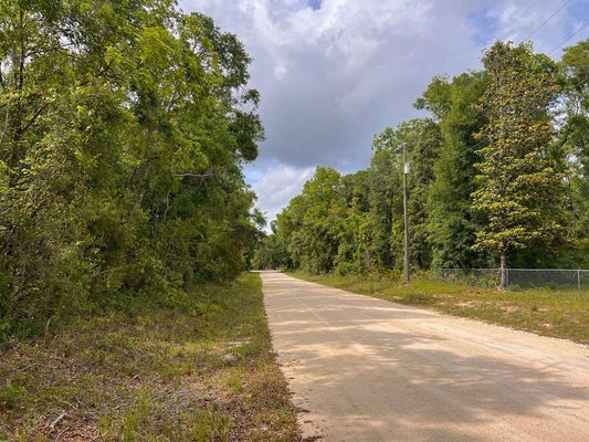 110 NE 770TH ST, OLD TOWN, FL 32680 - Image bdbc87f39e7b07941ceb6d0378929def/135246451