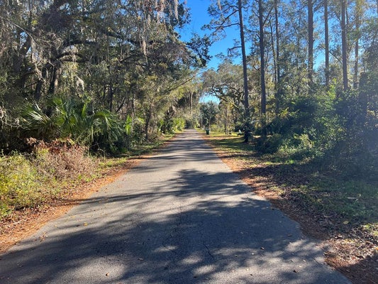 0 SE 21ST AVE, CROSS CITY, FL 32628 - Image c3b84f1d19e0cf2de44ad15c63ef2e52/2492459844