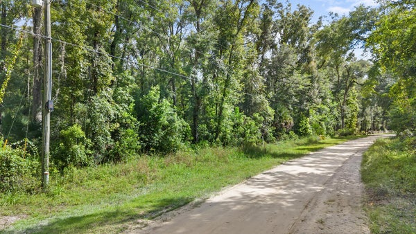 370 NE 385TH AVE, OLD TOWN, FL 32680 - Image c6fd7892a7da70afc55defa8ab0f4e99/2194343877