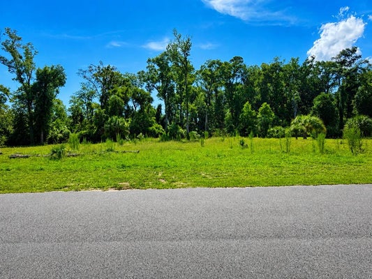 9269 EMILY DR, FANNING SPRINGS, FL 32693 - Image d00ef8b94b82df58eebe7ea158b46995/2468660470