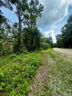 NE 642ND ST, OLD TOWN, FL 32680 - Image df6ea837c1efd7f68efe5ee4e76cd72d/1889704564