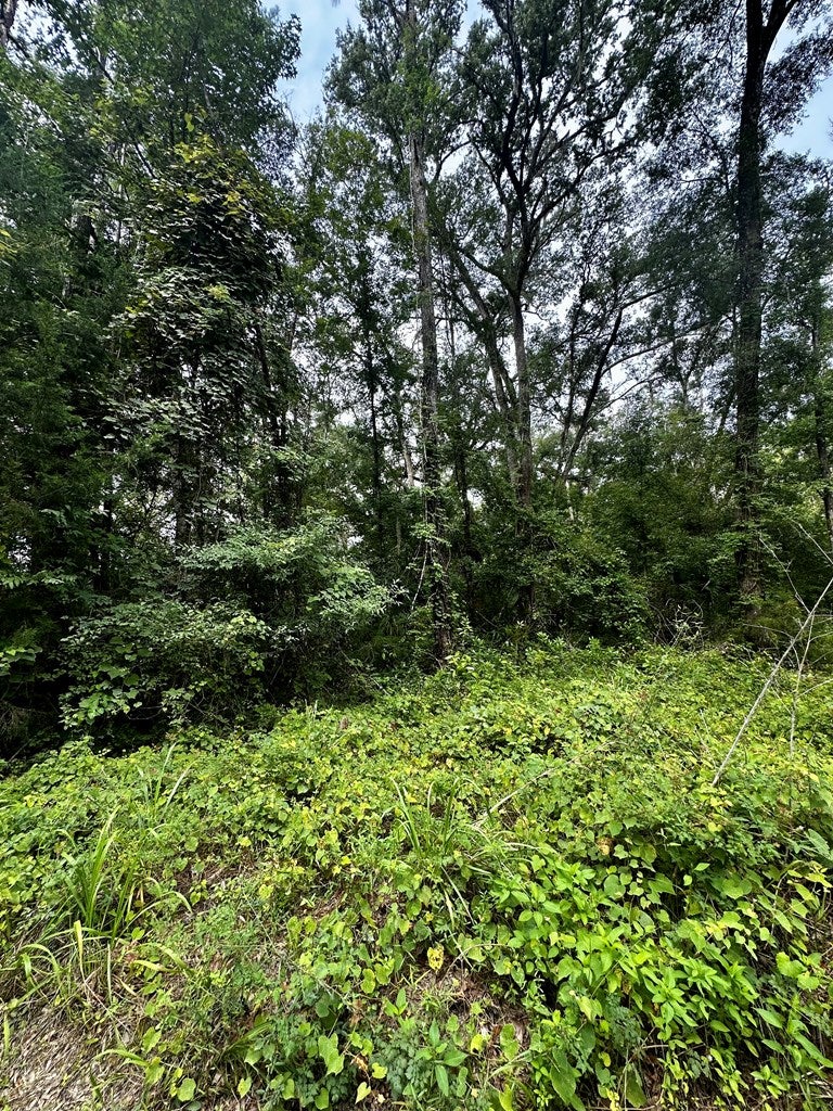 Listing 176