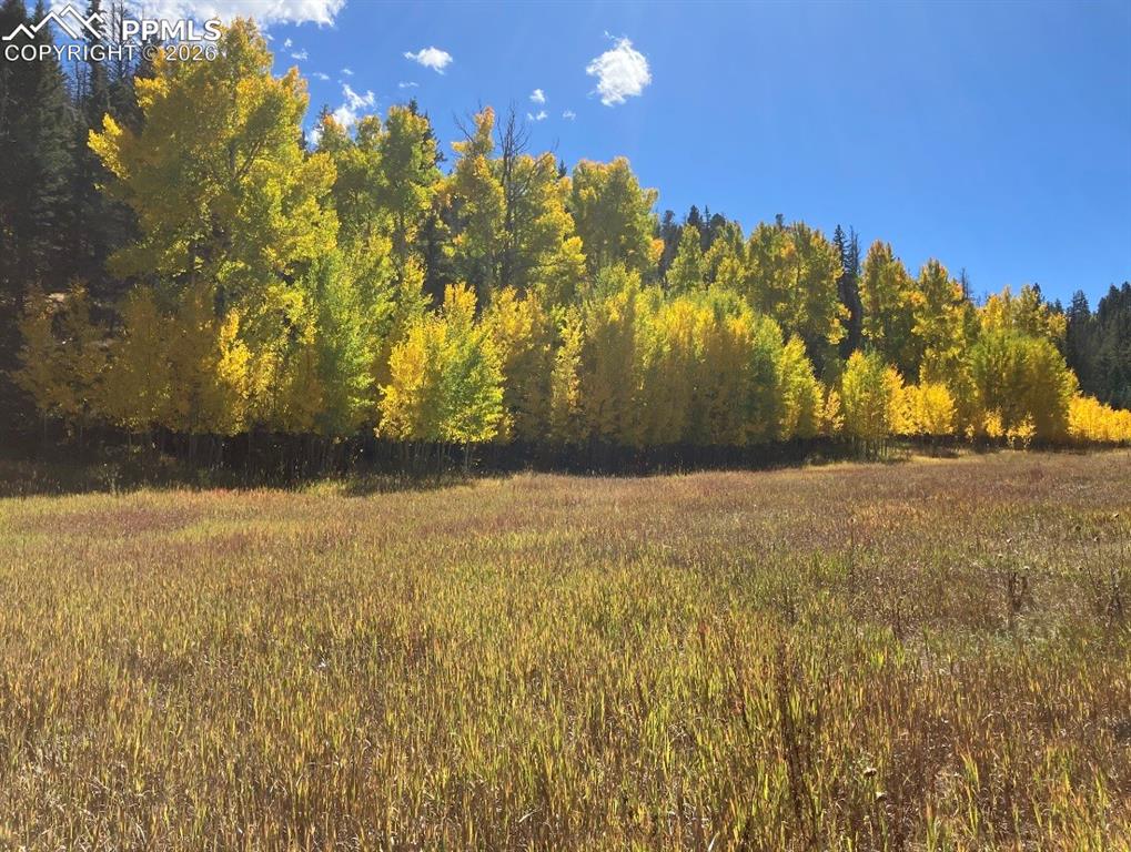 Lot 1 County Road 358