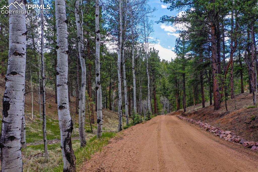 185 Wildcat Creek Drive
