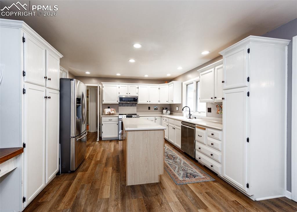 735 Big Valley Drive