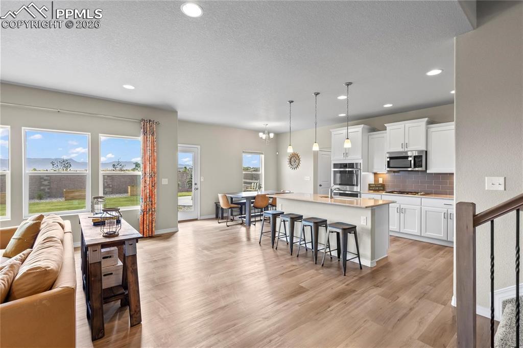 8442 Noreen Falls Drive