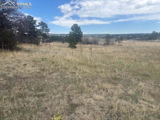 3615 Summertime Court