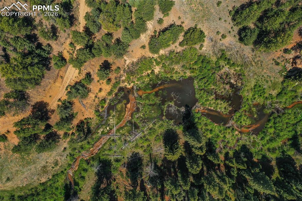 29545 Highway 67