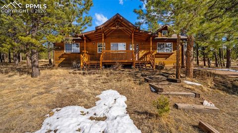 23 Wasatch Lane Florissant CO 80816