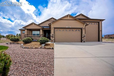 11394 Lobo Peak Drive Peyton CO 80831