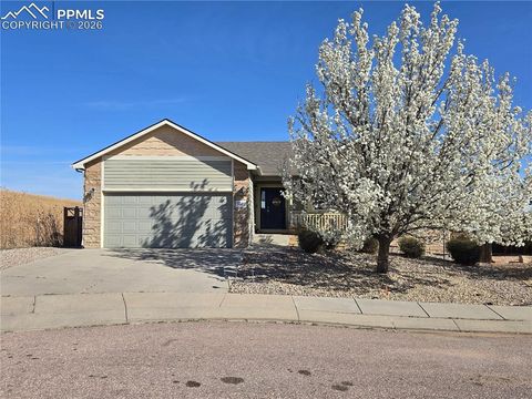 7502 Willow Pines Place Fountain CO 80817