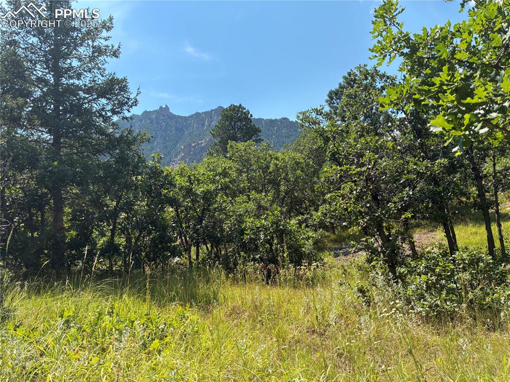 4875 Willow Stone Heights