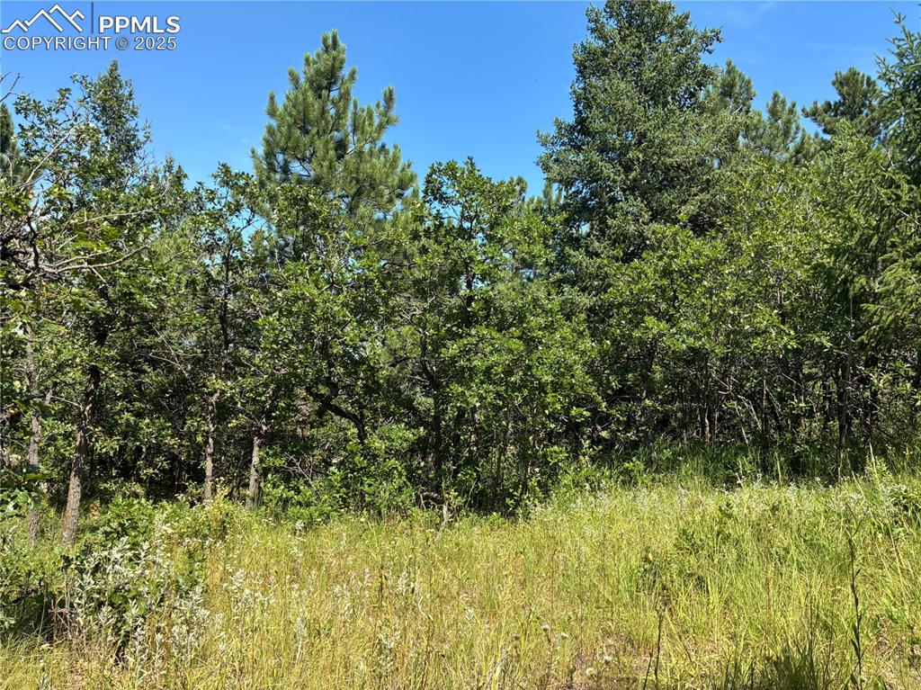 4875 Willow Stone Heights