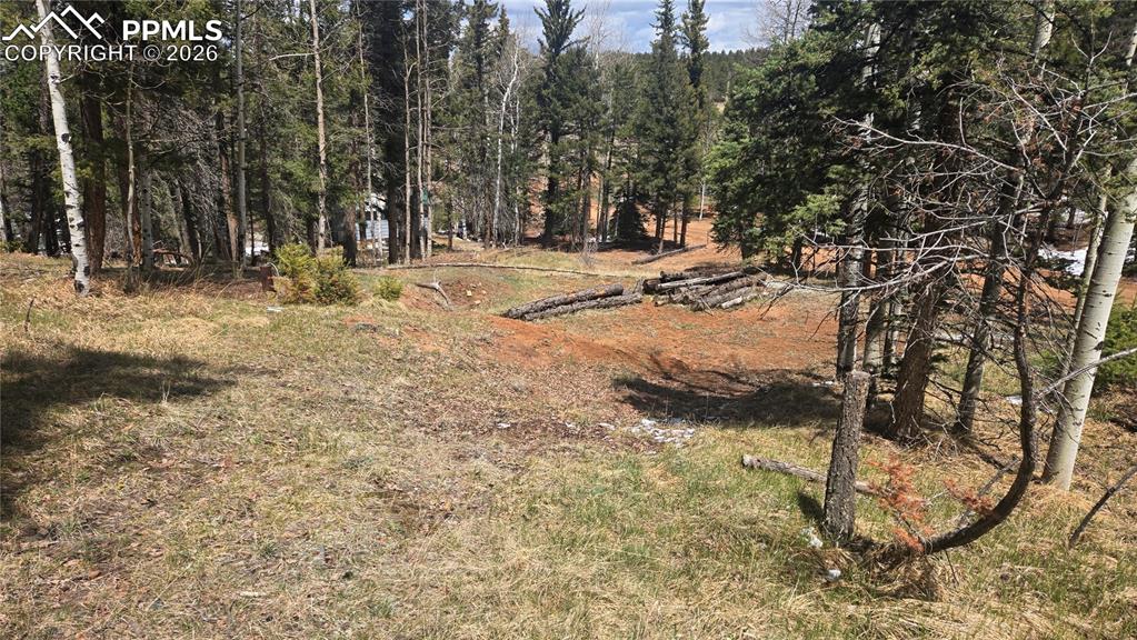 151 Mt Elbert Road