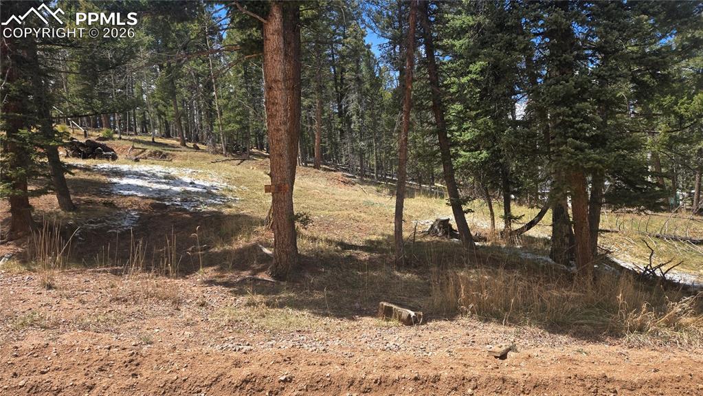 151 Mt Elbert Road