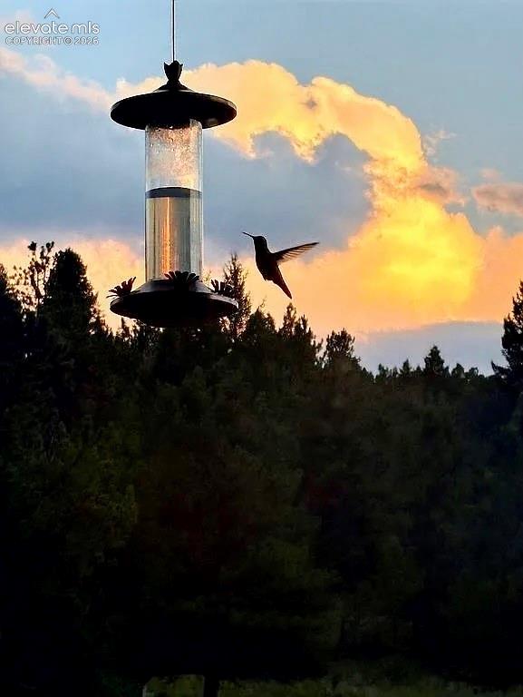475 Sioux Road
