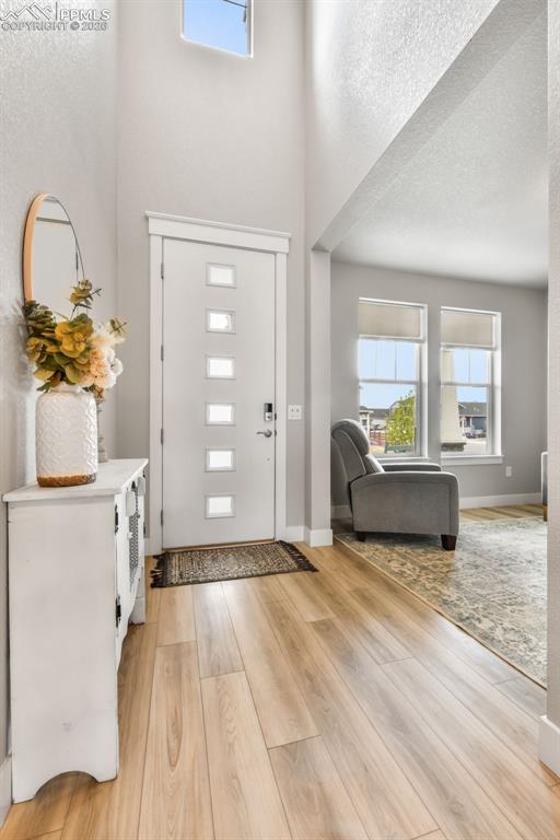 2115 Coyote Mint Drive