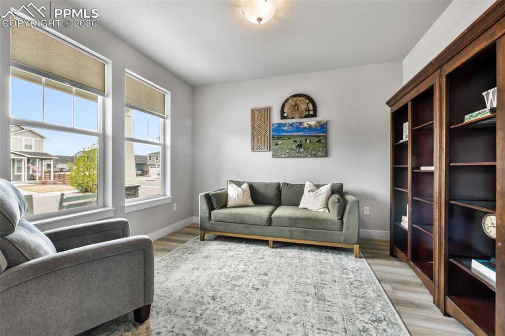 2115 Coyote Mint Drive