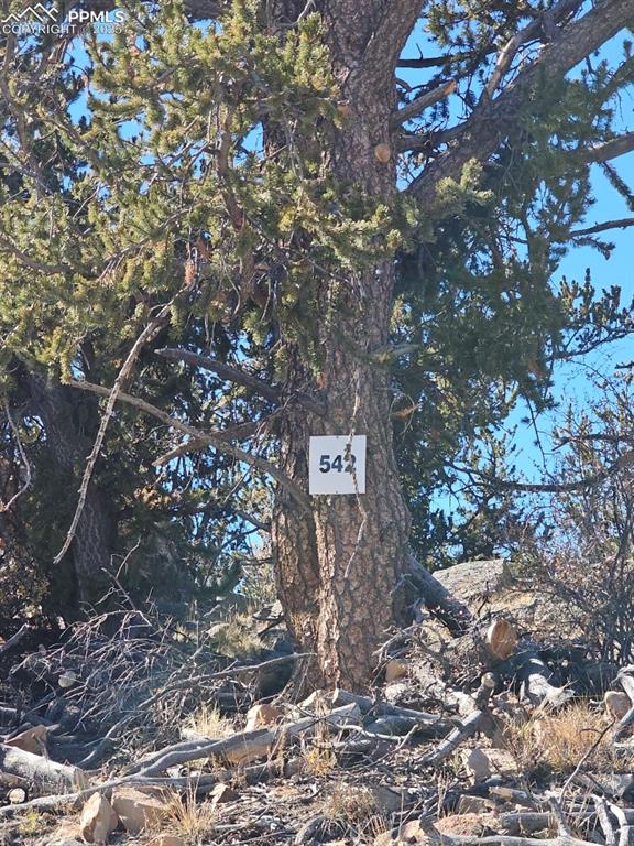 5585 Middle Fork Vista