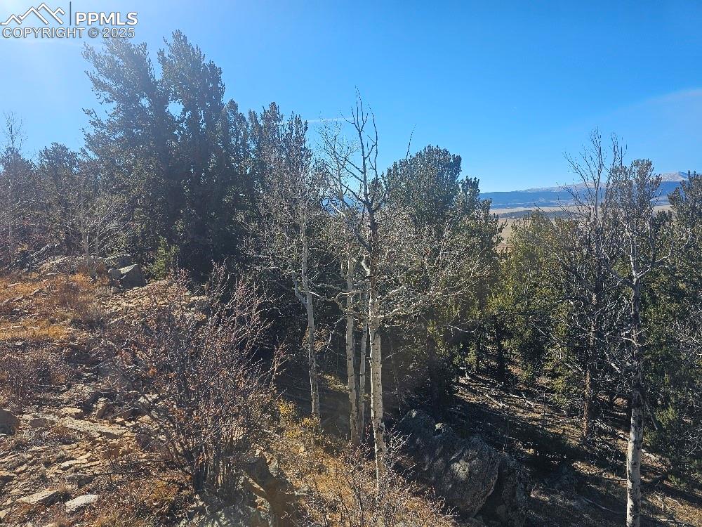 5585 Middle Fork Vista