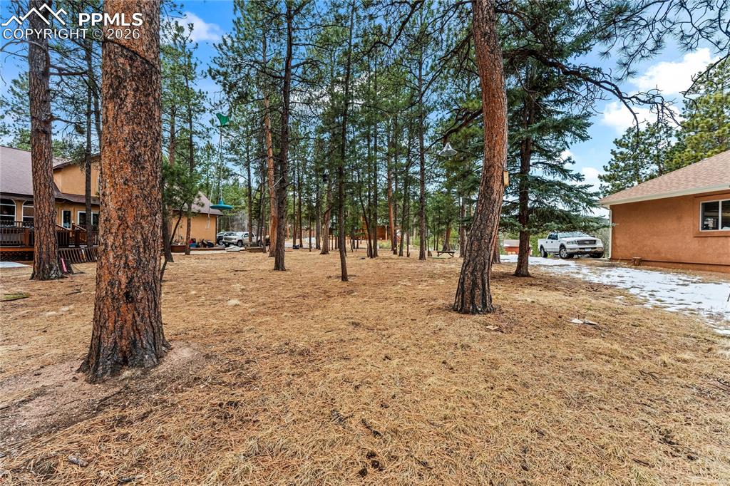 109 Flagstick Drive