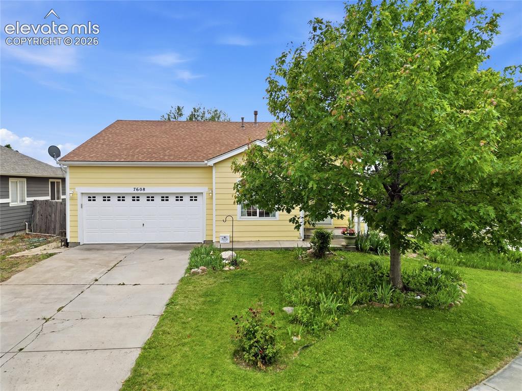7608 Barn Owl Drive